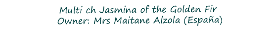 Multi ch Jasmina of the Golden Fir  Owner: Mrs Maitane Alzola (Espaa)